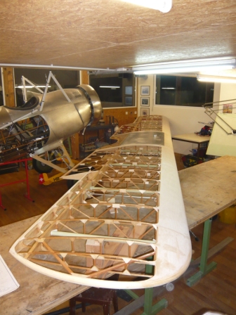 Assembled top wing
