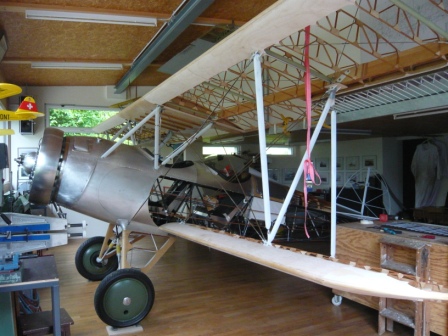 P1050537-1.JPG