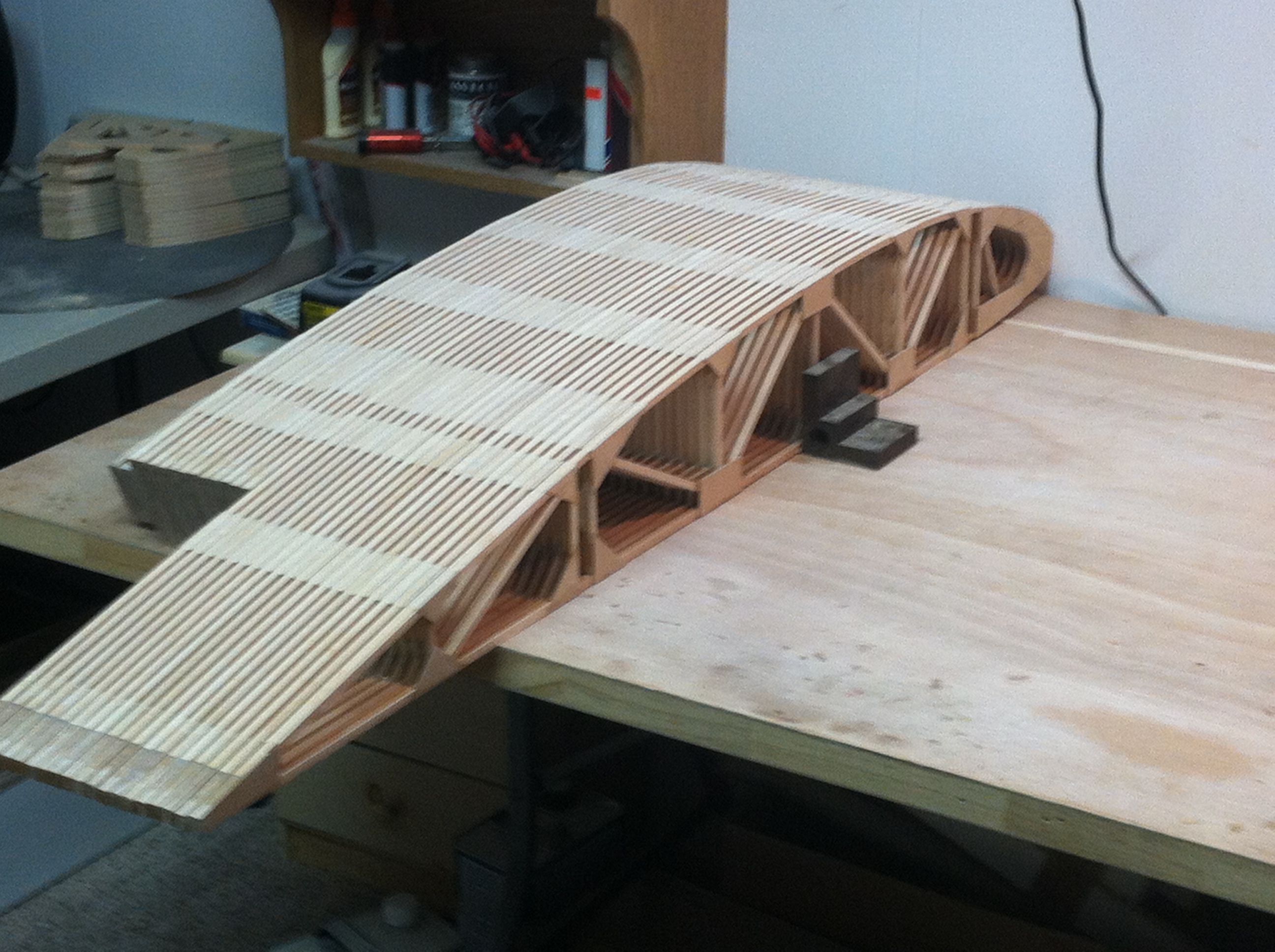 Finished Ribs